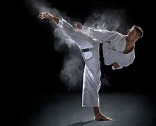 Image result for Martial Arts Background Images