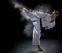 Image result for Martial Arts