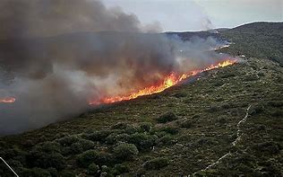 Image result for Andros Fires