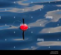 Image result for Fishing Bobber in Water