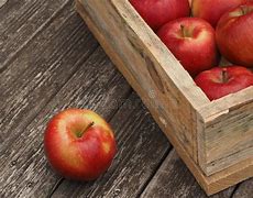 Image result for 1 Box with 10 Apple's