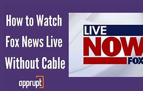 Image result for Watch Fox News Live