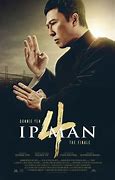 Image result for Donnie Yen Martial Arts Movies