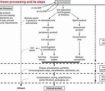 Image result for Downstream Processing