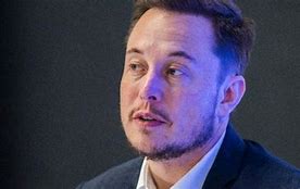 Image result for Maison Elon Musk