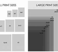 Image result for 8.5 x 11 Paper Size