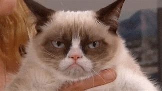 Image result for Happy for You Grumpy Meme