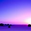 Image result for Purple Aesthetic Tree