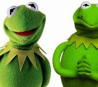 Image result for Kermit Evil Twin