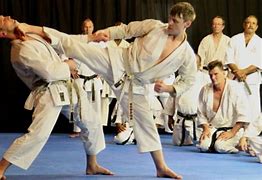 Image result for Todmorden Shotokan Karate