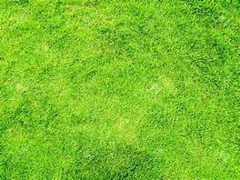 Image result for Grass Top View Plan