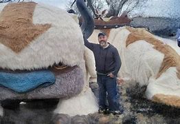 Image result for Size of Appa