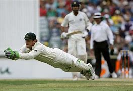 Image result for Cricket Wicket keeper