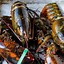 Image result for Mida Boston Lobster Pasta