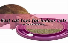 Image result for Doridon Cat Toys