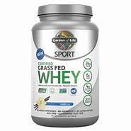 Image result for Garden of Life Protein Powder