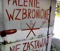 Image result for co_to_za_zły_pies