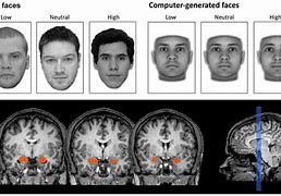 Image result for A Trustable Face