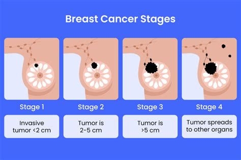 Image result for Pemrograman HTML