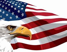 Image result for Cool Clip Art Bald Eagle American Flag
