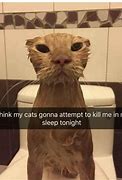 Image result for Funny Animal Stories