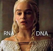Image result for DNA Dog Meme