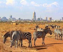 Image result for City Park Nairobi Kenya