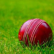 Image result for Cricket Wallpaper Black and White