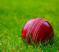 Image result for Cricket Ground Grass Background