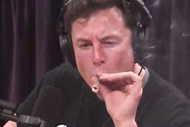 Image result for Elon Musk Smoke