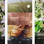 Image result for Best iPhone Photo Filters