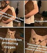 Image result for Phytoplankton Telescope Meme