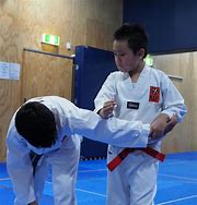 Image result for Best Self Defense Martial Art