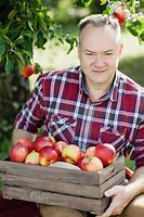 Image result for Man with a Lot of Apple's