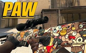 Image result for AWP Paw Pattern 420
