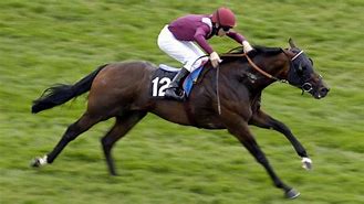Image result for site:www.racingpost.com