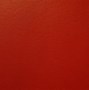 Image result for Cream Color Paint Texture