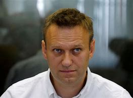 Image result for Alexei Navalny Russia