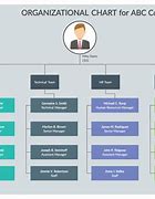 Image result for Organization Chart Types