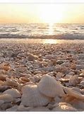 Image result for Seashell Band for Apple Watch