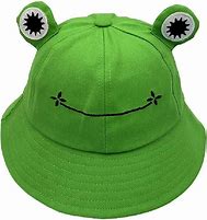 Image result for Green Frog Hat