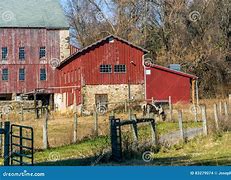 Image result for The Barnyard Macungie Pa