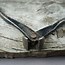 Image result for Damaged Old Wire Cutters