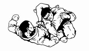 Image result for Brazilian Jiu-Jitsu Cartoon