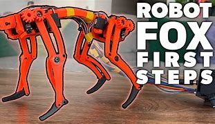 Image result for Robot Pet Fox