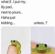Image result for Frog Meme with Word