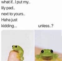 Image result for Freaky Frog Meme