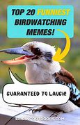Image result for Bird People Memes