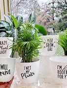 Image result for Funny Planters Memes