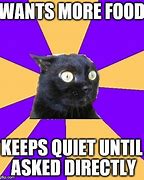Image result for Social Anxiety Cat Meme